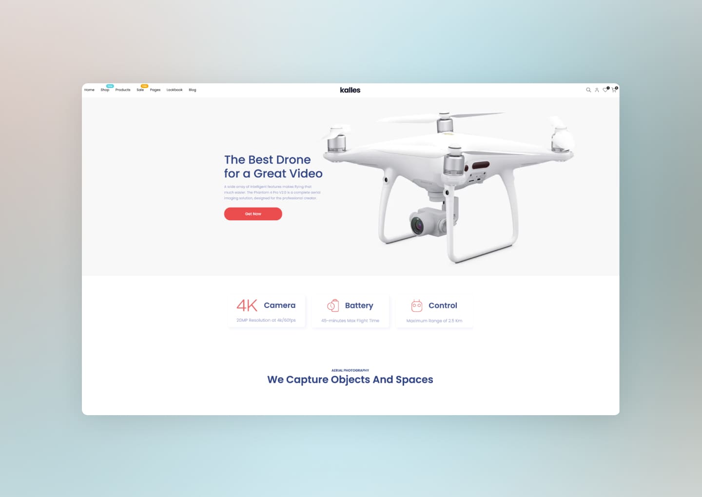 Home Drone