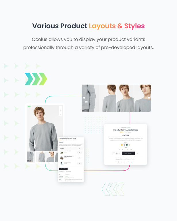 Ocolus - Classic & Creative Shopify Theme - 17